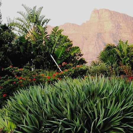 Bakoven Cottage Cape Town Rom bilde